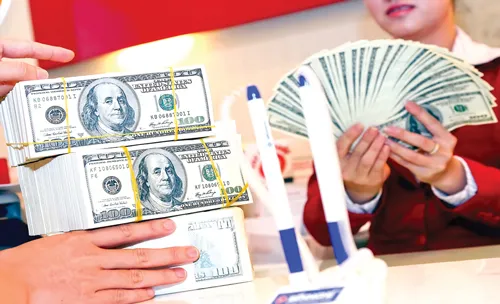 Ảnh minh họa: LONG THANH