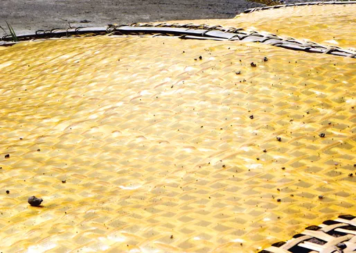 Miến được đem phơi ngay bên bãi nước thải, rác thải hôi thối. Những giàn miến lao cả xuống bãi nước thải. Người làm nghề bắt đầu dùng tay, chân để xé miến, rồi bó thành từng bó. Cứ chỗ nào có nắng chiếu là miến được đem ra phơi. Đất cát bẩn rơi vãi tứ tung và bám đầy trên những gian miến đang phơi . Miến được phơi ở bụi cây, bờ mương, góc vườn.