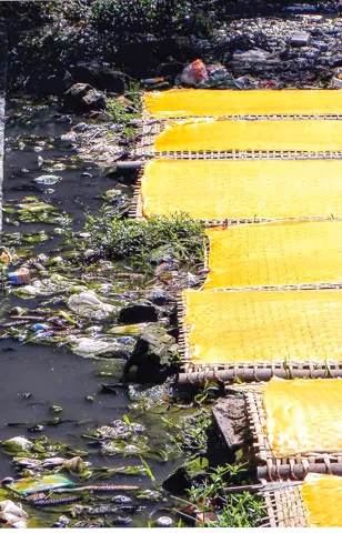 Hãi hùng miến dong ảnh 2