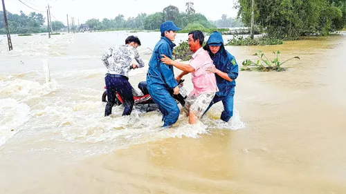 Hàng ngàn ngôi nhà ở tỉnh Bình Định bị "ngâm" trong 4 đợt lũ liên tiếp từ đầu tháng 11 đến giữa tháng 12-2016. Người dân ở “thủ phủ mai” Nhơn An (thị xã An Nhơn, tỉnh Bình Định) cố cứu mai thoát khỏi lũ. Tuy nhiên, phần lớn diện tích trồng mai ở địa phương này đã bị lũ gây thiệt hại. Ảnh: TRỌNG LỢI Ngâm lâu trong nước lũ, một số ngôi nhà ở huyện Tuy Phước (tỉnh Bình Định) đã đổ sập. Nhiều đường giao thông ở Bình Định bị chìm trong lũ, người dân phải “tăng bo” bằng cách đưa xe máy, vật dụng và người lên xe tải Chiến Thắng để qua các đoạn bị ngập. Lũ về lớn làm nước biển vùng nuôi tôm hùm Sông Cầu (tỉnh Phú Yên) bị ngọt hóa làm tôm chết hàng loạt, gây thiệt hại hàng chục tỷ đồng cho người nuôi. Để về nhà, nhiều người đã đánh liều đi qua những bờ tràn nước lũ chảy xiết. Hàng ngàn ngôi nhà ở tỉnh Bình Định bị “ngâm” trong bốn đợt lũ liên tiếp trong vòng một tháng rưỡi, từ đầu tháng 11 đến giữa tháng 12-2016. Lực lượng dân quân và người dân cứu một thanh niên bị trôi xe ở huyện Tuy Phước (tỉnh Bình Định). Hàng ngàn ngôi nhà ở tỉnh Bình Định bị "ngâm" trong 4 đợt lũ liên tiếp từ đầu tháng 11 đến giữa tháng 12-2016. Người dân ở “thủ phủ mai” Nhơn An (thị xã An Nhơn, tỉnh Bình Định) cố cứu mai thoát khỏi lũ. Tuy nhiên, phần lớn diện tích trồng mai ở địa phương này đã bị lũ gây thiệt hại. Ảnh: TRỌNG LỢI Ngâm lâu trong nước lũ, một số ngôi nhà ở huyện Tuy Phước (tỉnh Bình Định) đã đổ sập. Nhiều đường giao thông ở Bình Định bị chìm trong lũ, người dân phải “tăng bo” bằng cách đưa xe máy, vật dụng và người lên xe tải Chiến Thắng để qua các đoạn bị ngập. Lũ về lớn làm nước biển vùng nuôi tôm hùm Sông Cầu (tỉnh Phú Yên) bị ngọt hóa làm tôm chết hàng loạt, gây thiệt hại hàng chục tỷ đồng cho người nuôi. Để về nhà, nhiều người đã đánh liều đi qua những bờ tràn nước lũ chảy xiết. Hàng ngàn ngôi nhà ở tỉnh Bình Định bị “ngâm” trong bốn đợt lũ liên tiếp trong vòng một tháng rưỡi, từ đầu tháng 11 đến giữa tháng 12-2016. Lực lượng dân quân và người dân cứu một thanh niên bị trôi xe ở huyện Tuy Phước (tỉnh Bình Định).