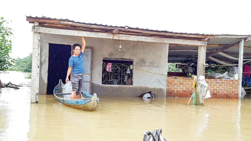 Hàng ngàn ngôi nhà ở tỉnh Bình Định bị "ngâm" trong 4 đợt lũ liên tiếp từ đầu tháng 11 đến giữa tháng 12-2016. Người dân ở “thủ phủ mai” Nhơn An (thị xã An Nhơn, tỉnh Bình Định) cố cứu mai thoát khỏi lũ. Tuy nhiên, phần lớn diện tích trồng mai ở địa phương này đã bị lũ gây thiệt hại. Ảnh: TRỌNG LỢI Ngâm lâu trong nước lũ, một số ngôi nhà ở huyện Tuy Phước (tỉnh Bình Định) đã đổ sập. Nhiều đường giao thông ở Bình Định bị chìm trong lũ, người dân phải “tăng bo” bằng cách đưa xe máy, vật dụng và người lên xe tải Chiến Thắng để qua các đoạn bị ngập. Lũ về lớn làm nước biển vùng nuôi tôm hùm Sông Cầu (tỉnh Phú Yên) bị ngọt hóa làm tôm chết hàng loạt, gây thiệt hại hàng chục tỷ đồng cho người nuôi. Để về nhà, nhiều người đã đánh liều đi qua những bờ tràn nước lũ chảy xiết. Hàng ngàn ngôi nhà ở tỉnh Bình Định bị “ngâm” trong bốn đợt lũ liên tiếp trong vòng một tháng rưỡi, từ đầu tháng 11 đến giữa tháng 12-2016. Lực lượng dân quân và người dân cứu một thanh niên bị trôi xe ở huyện Tuy Phước (tỉnh Bình Định). Hàng ngàn ngôi nhà ở tỉnh Bình Định bị "ngâm" trong 4 đợt lũ liên tiếp từ đầu tháng 11 đến giữa tháng 12-2016. Người dân ở “thủ phủ mai” Nhơn An (thị xã An Nhơn, tỉnh Bình Định) cố cứu mai thoát khỏi lũ. Tuy nhiên, phần lớn diện tích trồng mai ở địa phương này đã bị lũ gây thiệt hại. Ảnh: TRỌNG LỢI Ngâm lâu trong nước lũ, một số ngôi nhà ở huyện Tuy Phước (tỉnh Bình Định) đã đổ sập. Nhiều đường giao thông ở Bình Định bị chìm trong lũ, người dân phải “tăng bo” bằng cách đưa xe máy, vật dụng và người lên xe tải Chiến Thắng để qua các đoạn bị ngập. Lũ về lớn làm nước biển vùng nuôi tôm hùm Sông Cầu (tỉnh Phú Yên) bị ngọt hóa làm tôm chết hàng loạt, gây thiệt hại hàng chục tỷ đồng cho người nuôi. Để về nhà, nhiều người đã đánh liều đi qua những bờ tràn nước lũ chảy xiết. Hàng ngàn ngôi nhà ở tỉnh Bình Định bị “ngâm” trong bốn đợt lũ liên tiếp trong vòng một tháng rưỡi, từ đầu tháng 11 đến giữa tháng 12-2016. Lực lượng dân quân và người dân cứu một thanh niên bị trôi xe ở huyện Tuy Phước (tỉnh Bình Định).