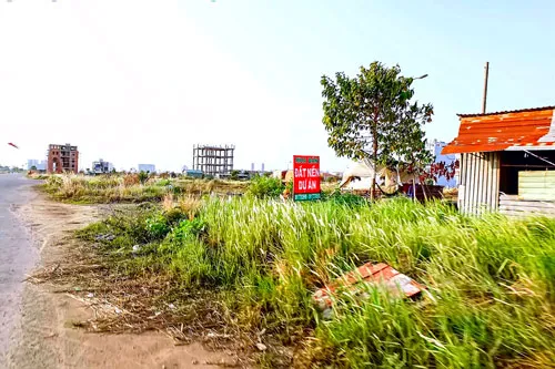 Ảnh: LONG THANH Ảnh: LONG THANH