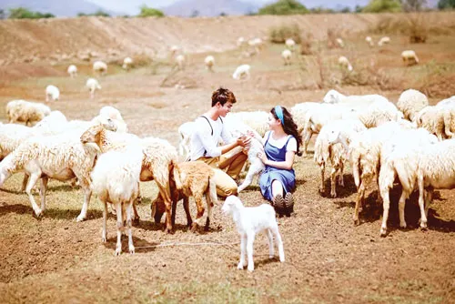 Ảnh cưới đáng yêu của cặp đôi yêu thích khám phá, trải nghiệm. Ảnh: Orange Studio