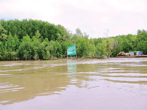 Khu dự trữ sinh quyển thế giới Mũi Cà Mau. Ảnh: LINH GIANG