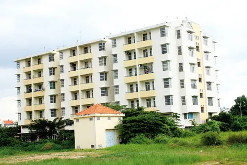 Chung cư Tân Hưng bỏ hoang khá lâu nên cỏ mọc um tùm. Chung cư Tân Hưng bỏ hoang khá lâu nên cỏ mọc um tùm.