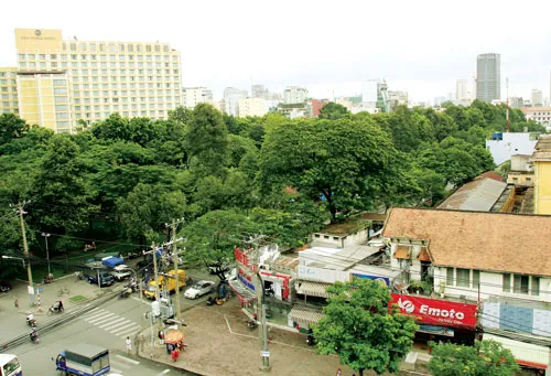 UBND TPHCM vừa đồng ý chủ trương quy hoạch không gian ngầm tại công viên 23-9. Ảnh: L.ANH