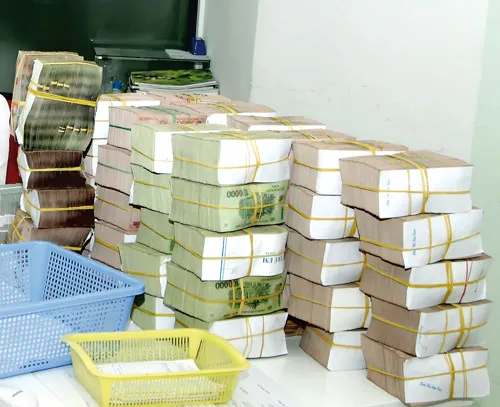 Ảnh minh họa: LONG THANH