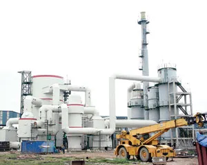 Nhà máy phân bón DAP Đình Vũ (Hải Phòng) là dự án điển hình về chậm tiến độ. (Ảnh: Báo ĐT)