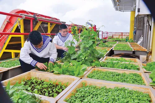 Sức sống nhà giàn DK1 ảnh 7