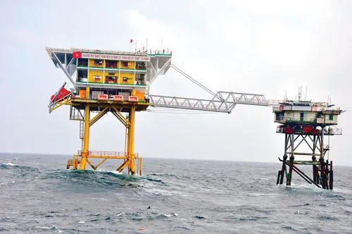 Sức sống nhà giàn DK1 ảnh 8