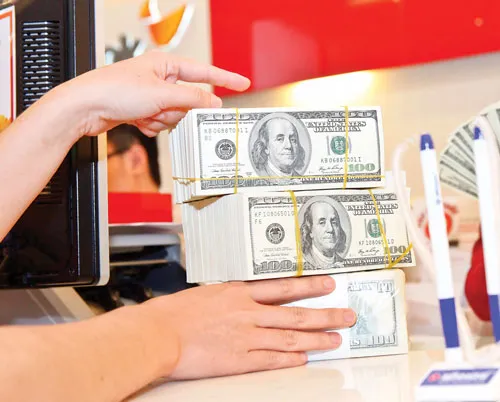 Áp lực tăng tỷ giá từ nội công, ngoại kích. Ảnh: LONG THANH