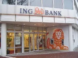 ING Bank gia nhập thị trường Việt Nam ảnh 1