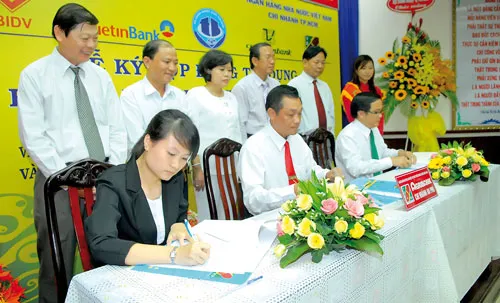 Doanh nghiệp quận Tân Bình ký hợp đồng vay vốn NH. Ảnh: ĐỨC TRÍ