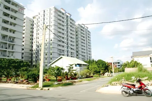 Một dự án của Lê Thành. Ảnh: T. TRUNG