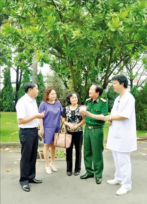 Cây bàng vuông đem về từ Trường Sa được trồng ở Bệnh viện Quân y 175 đã trổ hoa rất đẹp.