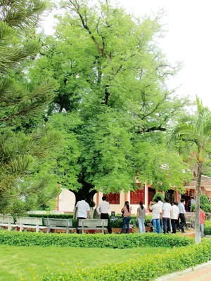 Đường lên Đàn Tế trời trên đỉnh núi Ấn. Tượng Hoàng đế Nguyễn Huệ tại Bảo tàng Quang Trung (Bình Định). Cây me cổ thụ 300 năm của gia đình anh em nhà Tây Sơn. Đàn tế trên đỉnh núi Ấn. Tháp Bảo Thiên - một hạng mục công trình của Đàn Tế trời. Binh khí Nghĩa quân tại Bảo tàng Tây Sơn. Khách thập phương múc nước giếng gia đình nhà Tây Sơn. Điện thờ 3 anh em Nguyễn Nhạc, Nguyễn Huệ, Nguyễn Lữ.