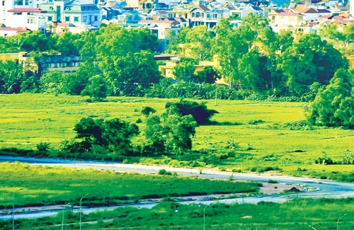 Theo Quy hoạch chung Hà Nội, không gian xanh của TP bao gồm hành lang xanh, vành đai xanh và các không gian xanh đô thị. Ảnh: Lã Anh
