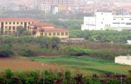 Nhiều sai phạm về đất đai cũng đã được phát hiện.