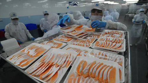 Tỉ giá USD tăng cao thời gian qua khiến nhiều doanh nghiệp gặp khó khăn trong quá trình hoạt động sản xuất kinh doanh.