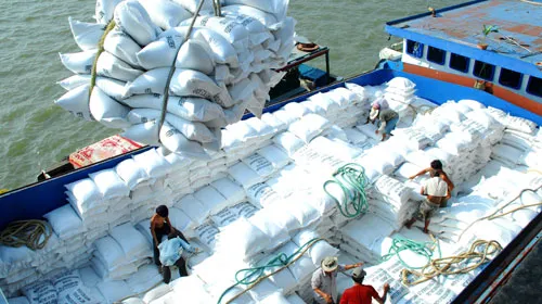 Đứng thứ hai thế giới xuất khẩu nhưng thương hiệu gạo Việt Nam ít được biết tại UAE.