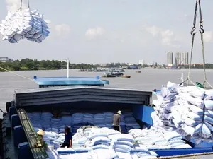 Bốc xếp gạo xuất khẩu tại cảng Tân Thuận 2 (Cảng Sài Gòn).