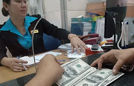 Chênh lệch lãi suất quá lớn cùng với định hướng kiểm soát biến động tỷ giá trong khoảng 2% - 3% trong năm 2012 đang kích thích nguồn cung chuyển đổi.