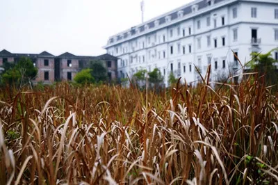 Chỉ phải nộp 1 khoản tiền sử dụng đất không đáng kể, giá bồi thường thấp, nhà đầu tư sau đó bán nhà, đất đắt gấp nhiều lần.