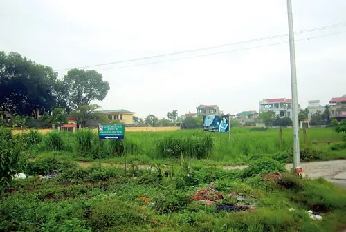 Những dự án như thế này nguy cơ sẽ phải dừng lại, chuyển đổi theo hướng canh tác. Ảnh: D.SAN