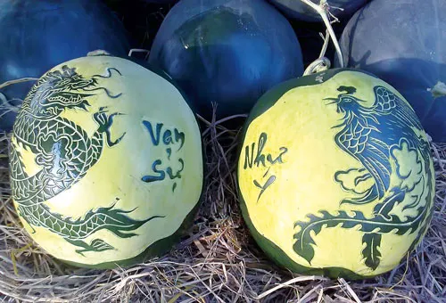 Quả càng to, ngón tay của phật thủ càng nhiều, dài, móng nhọn thì càng có giá trị. Anh Trần Thanh Liêm (phường Bình Thủy, quận Bình Thủy, TP Cần Thơ) tạo hình thành công 4 cặp dưa hấu hình xe hơi. Mỗi gốc cây ngũ quả được bán với giá 20-25 triệu đồng. Dưa hấu hình thỏi vàng. Bưởi hồ lô. Trái khóm phụng làm đẹp thêm cho những ngày xuân. Dưa hấu hình vuông. Dưa hấu hồ lô.