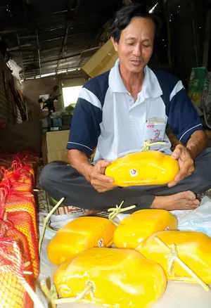 Quả càng to, ngón tay của phật thủ càng nhiều, dài, móng nhọn thì càng có giá trị. Anh Trần Thanh Liêm (phường Bình Thủy, quận Bình Thủy, TP Cần Thơ) tạo hình thành công 4 cặp dưa hấu hình xe hơi. Mỗi gốc cây ngũ quả được bán với giá 20-25 triệu đồng. Dưa hấu hình thỏi vàng. Bưởi hồ lô. Trái khóm phụng làm đẹp thêm cho những ngày xuân. Dưa hấu hình vuông. Dưa hấu hồ lô.