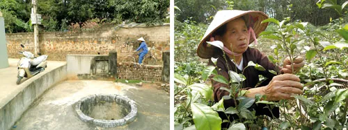 Giếng Nghè là rốn rồng nên chưa bao giờ cạn nước. Cây trà phủ bóng xanh mướt khắp đồi Ninh.