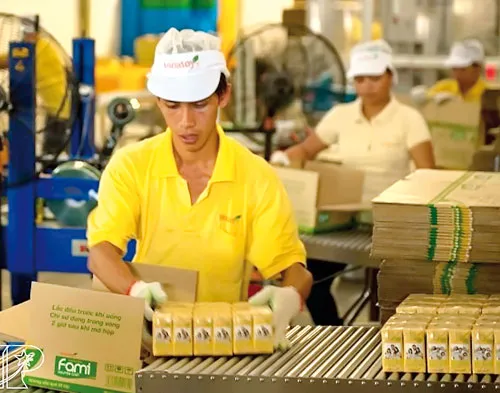 Công nhân Vinasoy làm việc bên dây chuyền đóng gói sản phẩm.