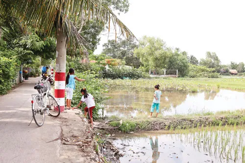 Một góc khu Bình Quới - Thanh Đa, không khác gì ở nông thôn. Ảnh: LONG THANH