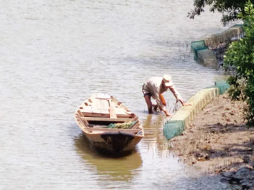 Ngư dân đang đặt lờ bẫy bạch tuộc.