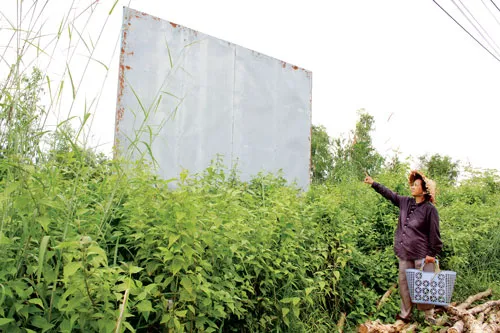 Tấm bảng quy hoạch chi tiết khu đô thị Sing Việt không còn thấy chữ, cỏ cây dại mọc đến đầu người. Ảnh: THANH VY