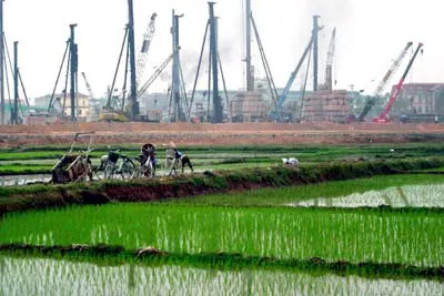 Ảnh minh họa. Nguồn: Internet Ảnh minh họa. Nguồn: Internet