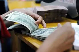 USD chính thức ngược dòng USD tự do ảnh 1 USD chính thức ngược dòng USD tự do ảnh 1