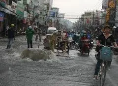 Ảnh minh họa. Nguồn: Internet