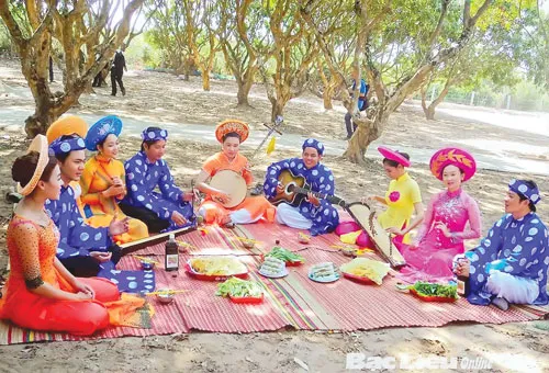 Biểu diễn đờn ca tài tử.