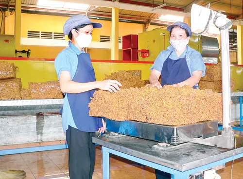 Dù nằm trong nhóm cường quốc về cao su, nhưng Việt Nam vẫn bị đánh giá thấp về chất lượng do chủng loại sản phẩm cao su sản xuất ở dạng sơ chế.