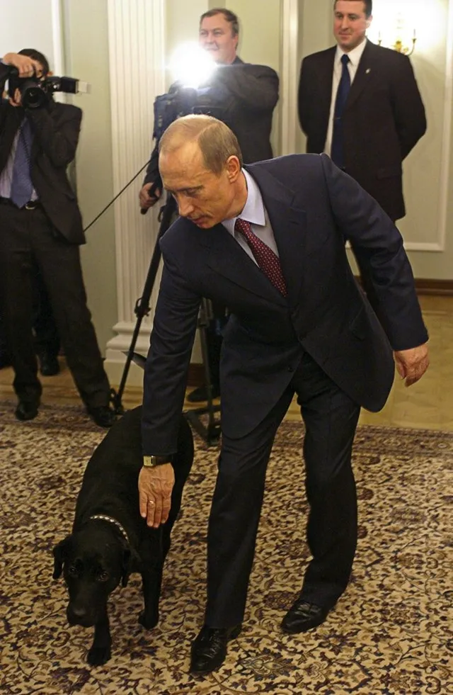 "Nàng" chó săn Labrador tên là Koni (Connie) là món quà mà ông Vladimir Putin nhận vào sinh nhật năm 2000. Koni thường xuất hiện bên cạnh Tổng thống trong những buổi tiếp nhân viên hay thậm chí là cả tiếp các quan chức nước ngoài.
