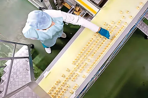 Dây chuyền sản xuất hạt dẻ bọc chocolate của Roshen ở Ukraine.