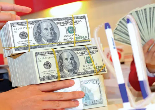 Ảnh minh họa: LONG THANH