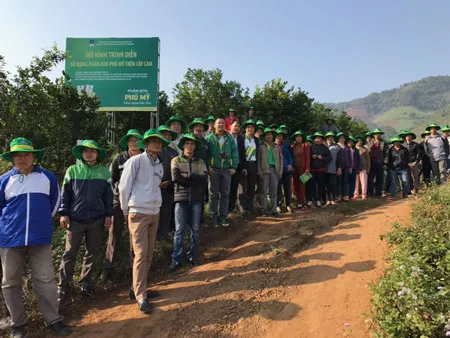 Các đại biểu tham quan vườn cam sử dụng phân bón Phú Mỹ.