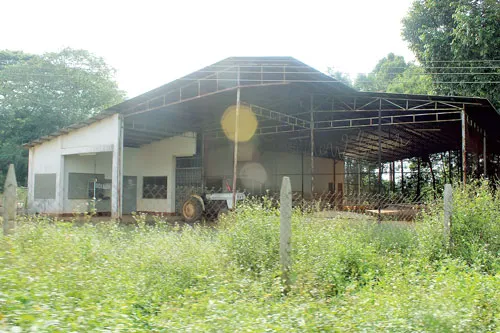 Khu đất hơn 1.000m2 được lãnh đạo nông trường cao su Bình Lộc kinh doanh sân trượt patin nay bị bỏ hoang. Ảnh: Minh Tuấn