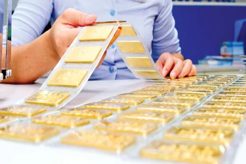 Ảnh minh họa: LONG THANH