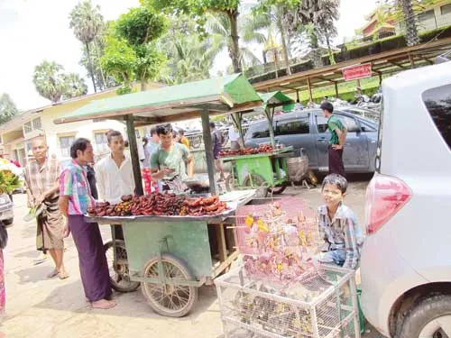 Myanmar: Thế giới tốt đẹp hơn ảnh 4