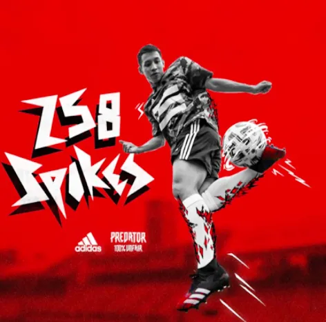 Tiền đạo Nguyễn Tiến Linh tự tin với 'mãnh thú' sân cỏ mới ảnh 1