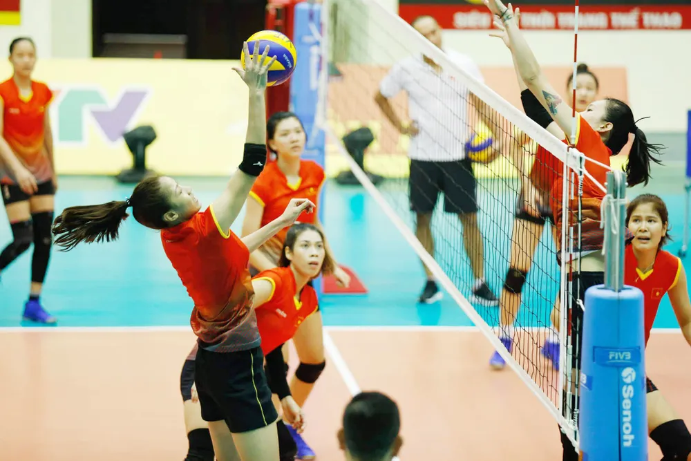 Bóng chuyền chưa chốt phương án tìm chủ tịch mới ảnh 1