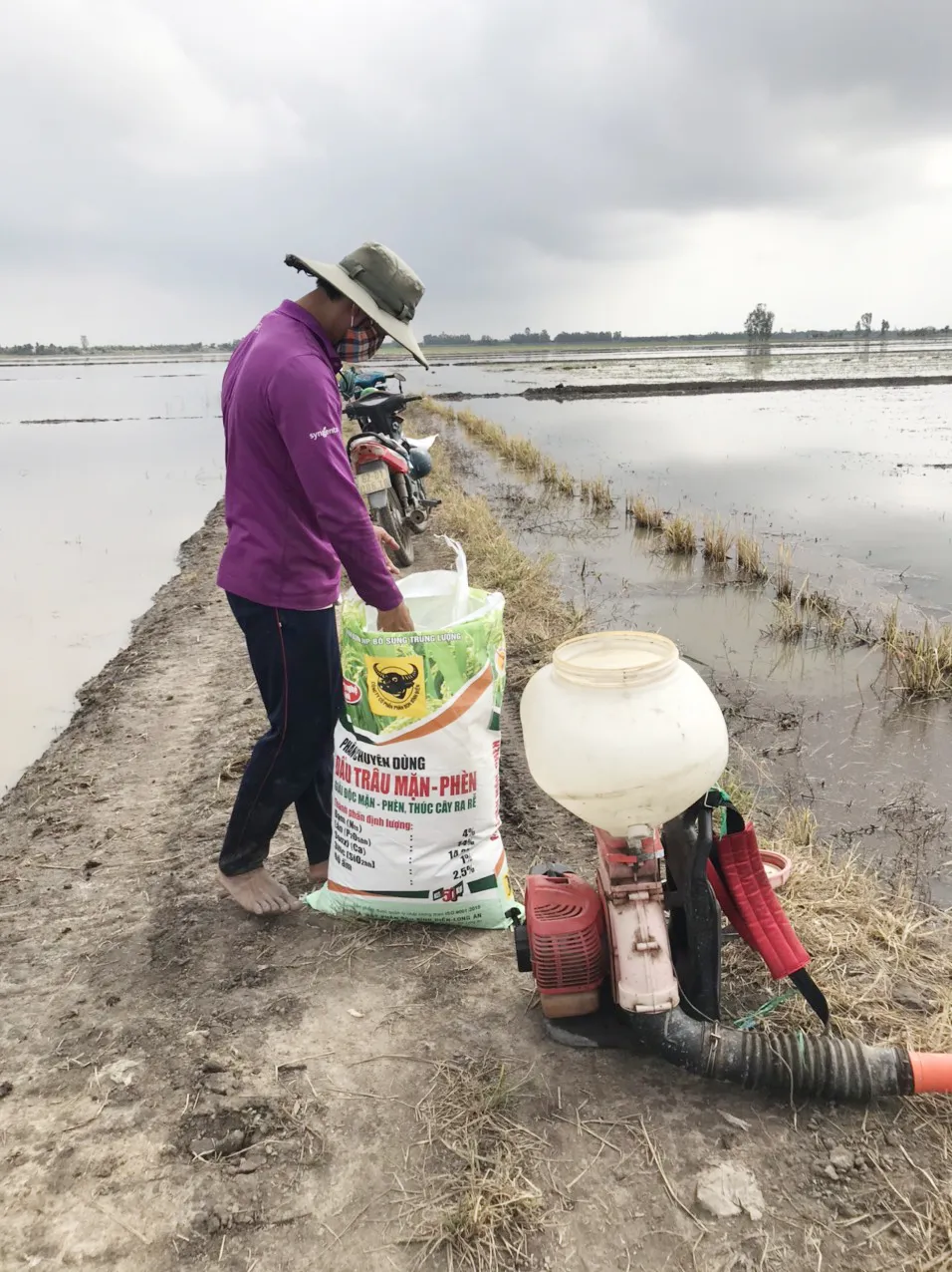 Tổng kết Mô hình “Canh tác lúa thông minh” ở ĐBSCL vụ Hè Thu 2021: Cho vụ mùa bội thu ảnh 1